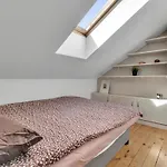 Butas Old Town Amber Penthouse *