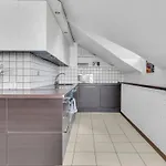 Old Town Amber Penthouse Vilnius