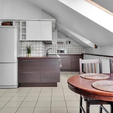 Old Town Amber Penthouse Vilnius