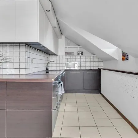 Old Town Amber Penthouse Vilnius