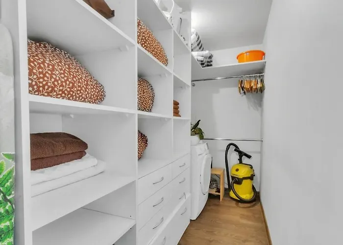 Old Town Amber Penthouse Wilna