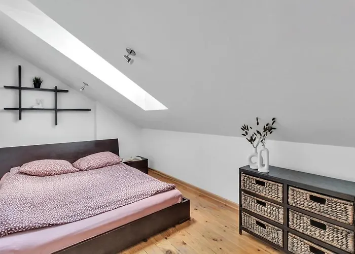 Old Town Amber Penthouse 公寓 维尔纽斯